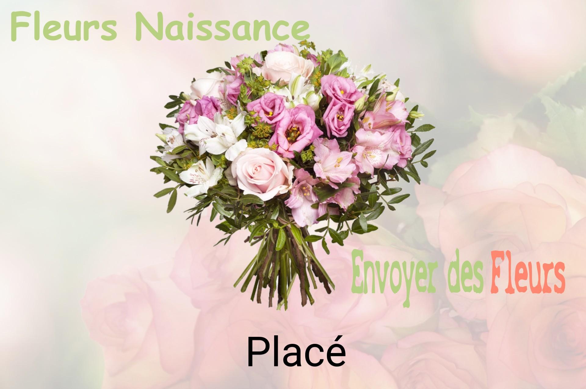 Bouquet de fleurs de naissance livré à Placé