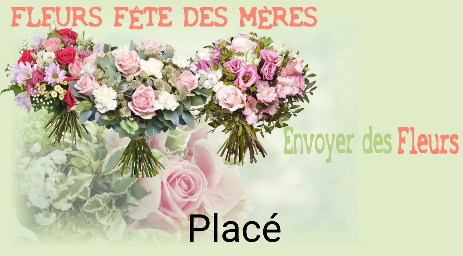Bouquet de Fête des Mères livré à Placé